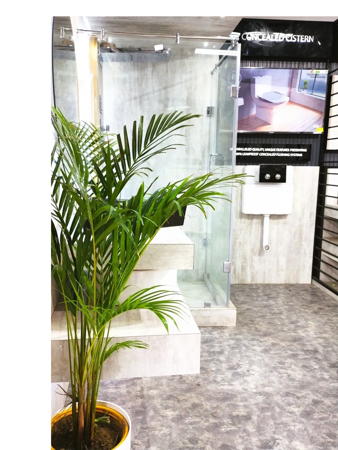 Gallery image 11