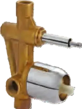 Divertor Body